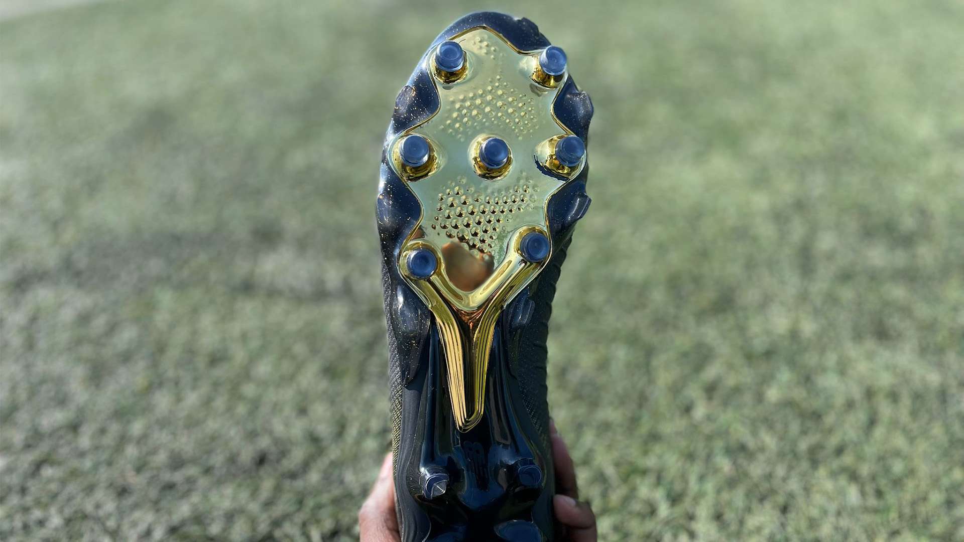 而来自韩国 而来自韩国