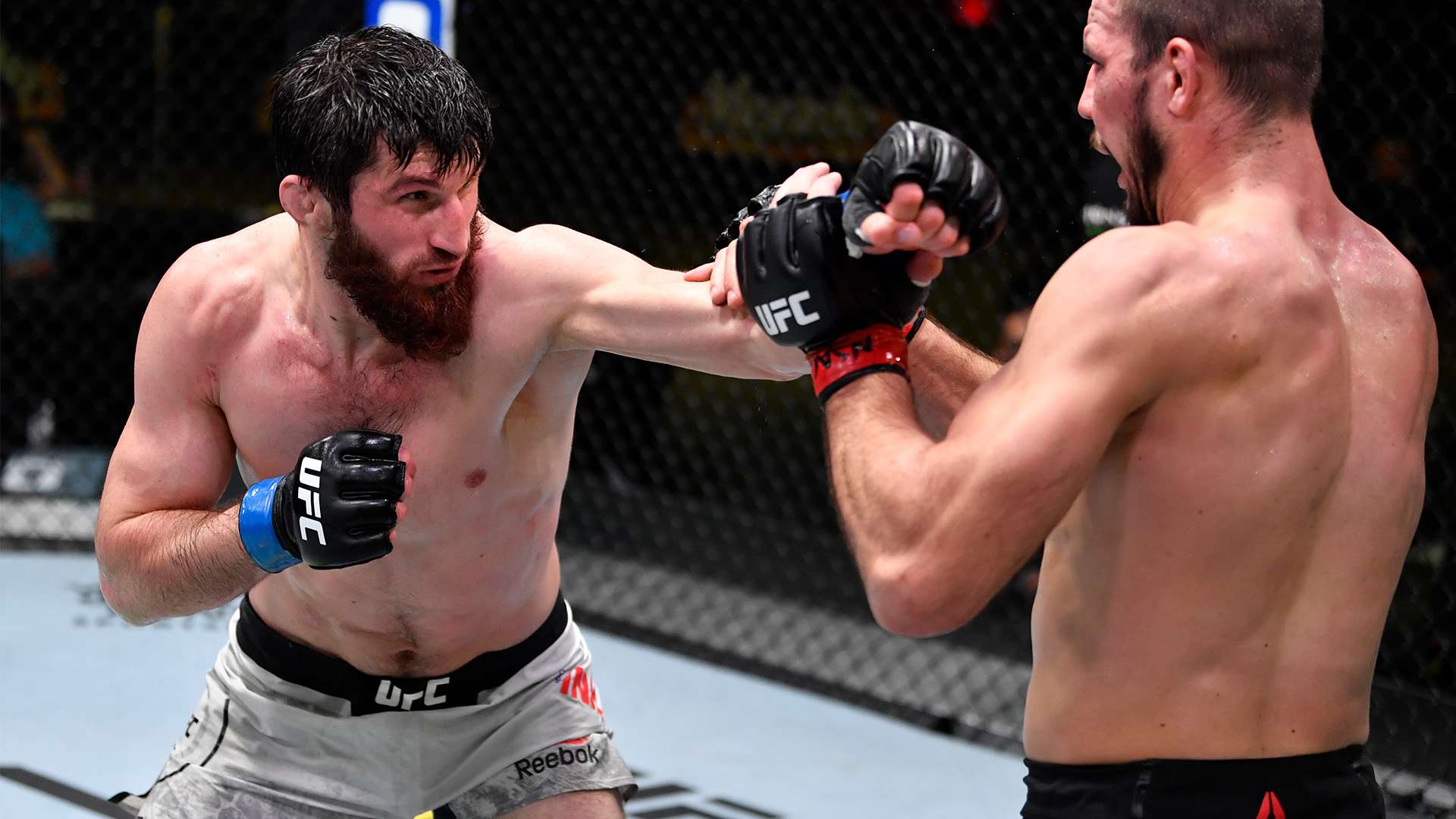 霆和勇士的 霆和勇士的