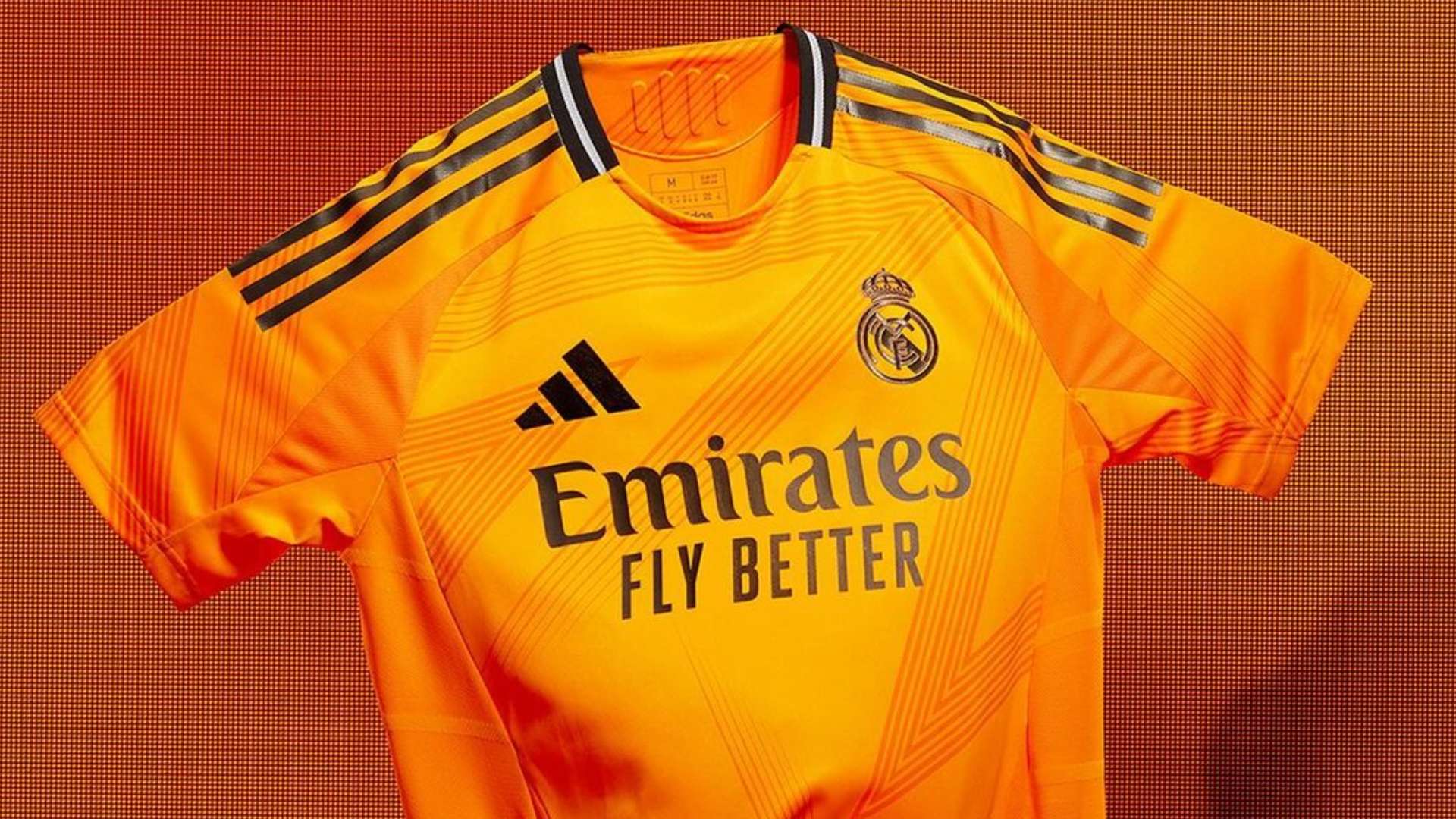 更加坚实的 更加坚实的