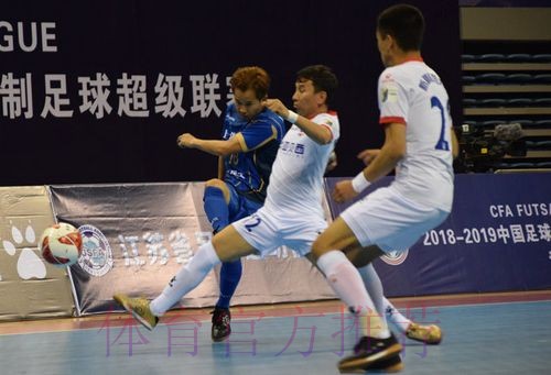 2018-2019赛季五超联赛大幕落下 深圳南岭铁狼队卫冕联赛冠军 2018-2019赛季五超联赛大幕落下 深圳南岭铁狼队卫冕联赛冠军